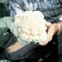 Man holding Cauliflower