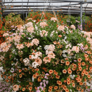 Basket of flowers