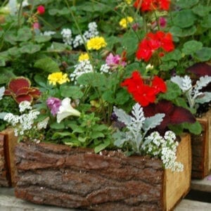 Mixed Containers