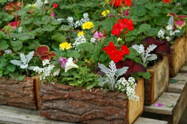 Wood block containers